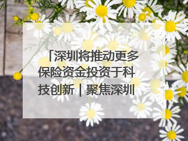 深圳将推动更多保险资金投资于科技创新｜聚焦深圳系列发布会