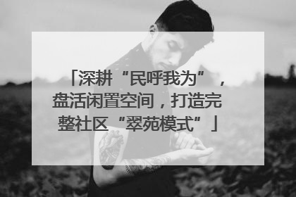 深耕“民呼我为”，盘活闲置空间，打造完整社区“翠苑模式”