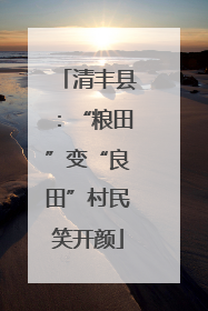 清丰县：“粮田”变“良田”村民笑开颜