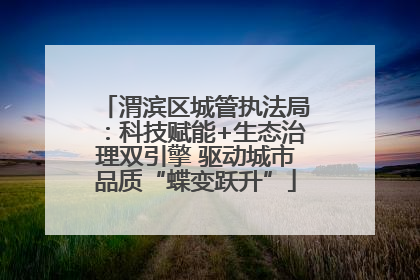 渭滨区城管执法局：科技赋能+生态治理双引擎 驱动城市品质“蝶变跃升”