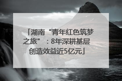 湖南“青年红色筑梦之旅”：8年深耕基层创造效益近5亿元