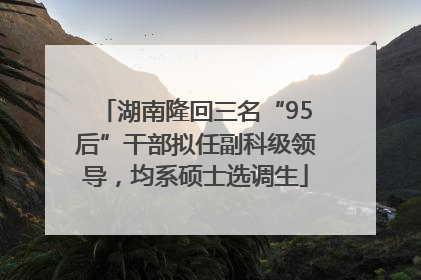 湖南隆回三名“95后”干部拟任副科级领导，均系硕士选调生