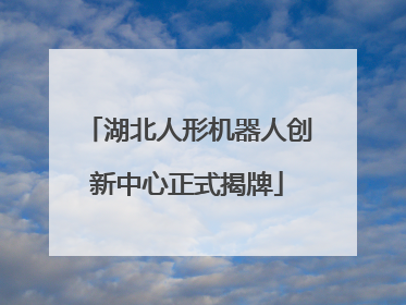 湖北人形机器人创新中心正式揭牌