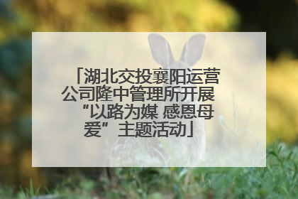 湖北交投襄阳运营公司隆中管理所开展“以路为媒 感恩母爱”主题活动