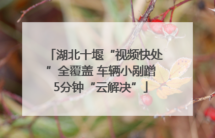 湖北十堰“视频快处”全覆盖 车辆小剐蹭5分钟“云解决”