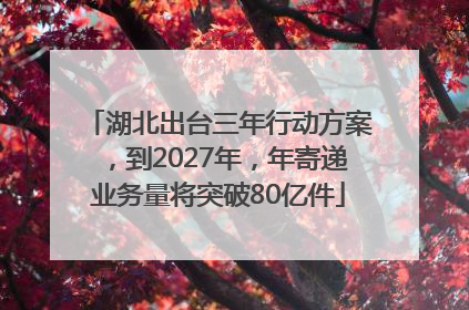 湖北出台三年行动方案，到2027年，年寄递业务量将突破80亿件
