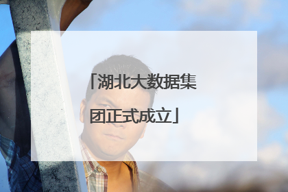 湖北大数据集团正式成立