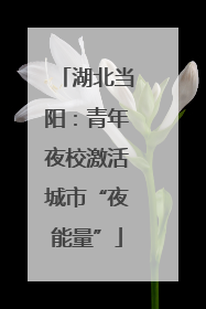湖北当阳：青年夜校激活城市“夜能量”