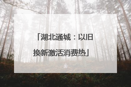 湖北通城：以旧换新激活消费热