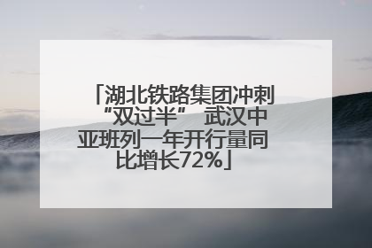 湖北铁路集团冲刺“双过半” 武汉中亚班列一年开行量同比增长72%