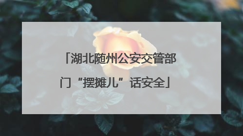湖北随州公安交管部门“摆摊儿”话安全