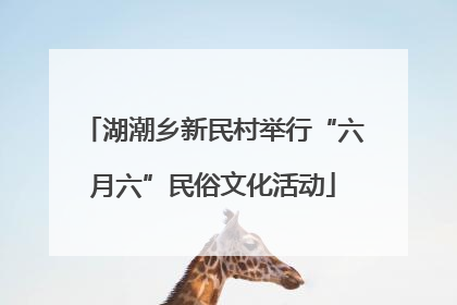 湖潮乡新民村举行“六月六”民俗文化活动
