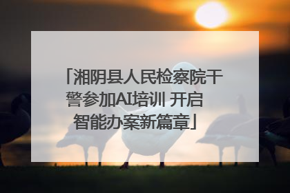 湘阴县人民检察院干警参加AI培训 开启智能办案新篇章