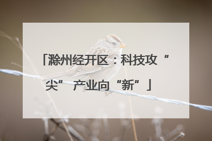 滁州经开区：科技攻“尖” 产业向“新”