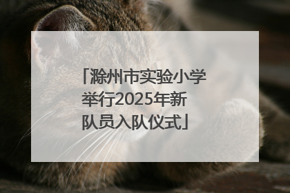 滁州市实验小学举行2025年新队员入队仪式