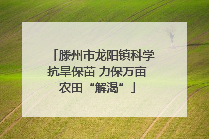 滕州市龙阳镇科学抗旱保苗 力保万亩农田“解渴”