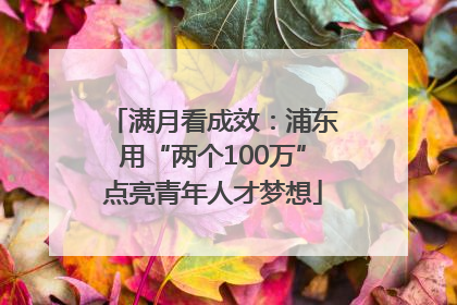满月看成效：浦东用“两个100万”点亮青年人才梦想