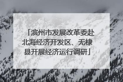 滨州市发展改革委赴北海经济开发区、无棣县开展经济运行调研
