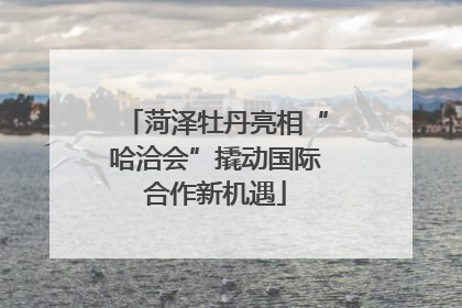 菏泽牡丹亮相“哈洽会”撬动国际合作新机遇