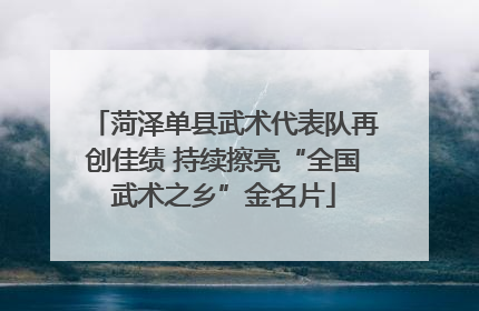 菏泽单县武术代表队再创佳绩 持续擦亮“全国武术之乡”金名片