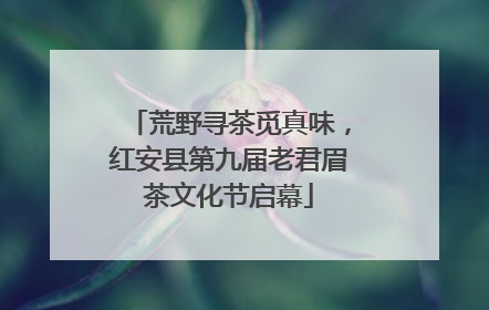 荒野寻茶觅真味，红安县第九届老君眉茶文化节启幕