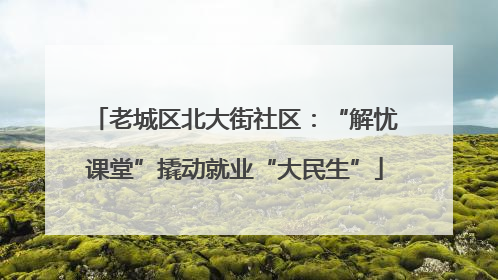 老城区北大街社区：“解忧课堂”撬动就业“大民生”