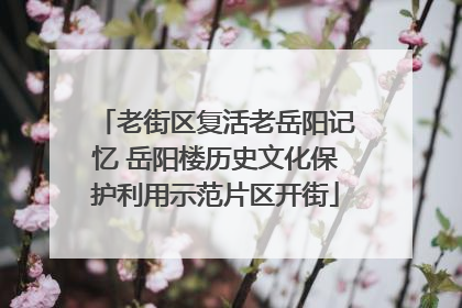 老街区复活老岳阳记忆 岳阳楼历史文化保护利用示范片区开街