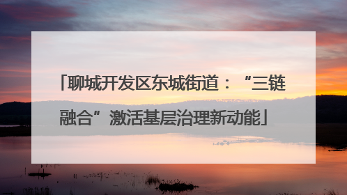 聊城开发区东城街道：“三链融合”激活基层治理新动能