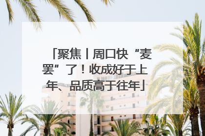 聚焦丨周口快“麦罢”了！收成好于上年、品质高于往年