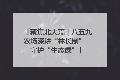 聚焦北大荒｜八五九农场深耕“林长制” 守护“生态绿”