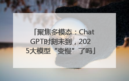 聚焦多模态：ChatGPT时刻未到，2025大模型“变慢”了吗