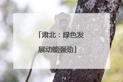 肃北：绿色发展动能强劲