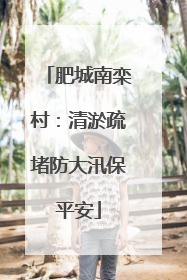 肥城南栾村：清淤疏堵防大汛保平安