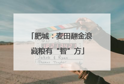肥城：麦田翻金浪藏粮有“智”方