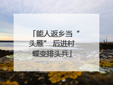 能人返乡当“头雁” 后进村蝶变排头兵