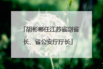 胡彬郴任江苏省副省长、省公安厅厅长