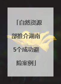 自然资源部推介湖南5个成功避险案例