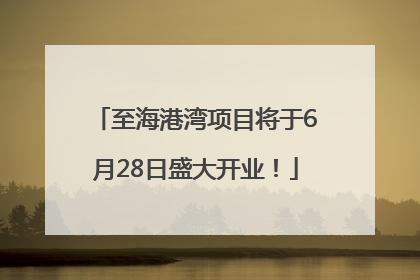 至海港湾项目将于6月28日盛大开业！