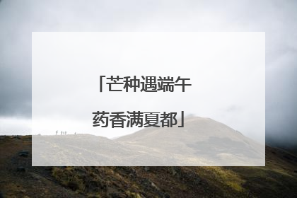 芒种遇端午 药香满夏都