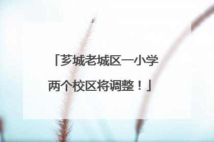芗城老城区一小学两个校区将调整！