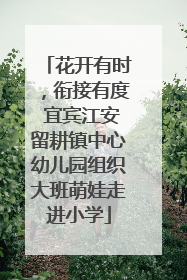 花开有时，衔接有度 宜宾江安留耕镇中心幼儿园组织大班萌娃走进小学