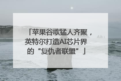 苹果谷歌猛人齐聚，英特尔打造AI芯片界的“复仇者联盟”