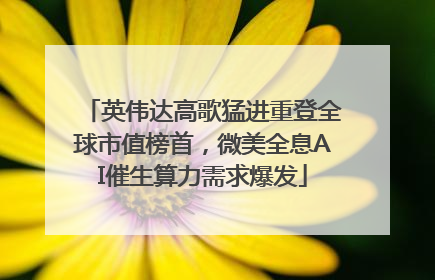 英伟达高歌猛进重登全球市值榜首，微美全息AI催生算力需求爆发