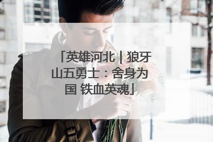 英雄河北｜狼牙山五勇士：舍身为国 铁血英魂