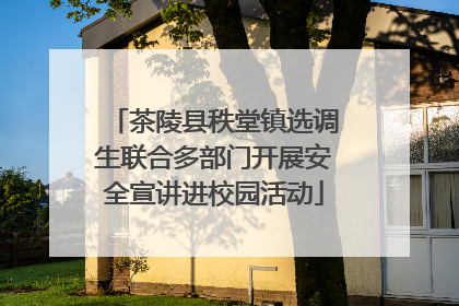 茶陵县秩堂镇选调生联合多部门开展安全宣讲进校园活动