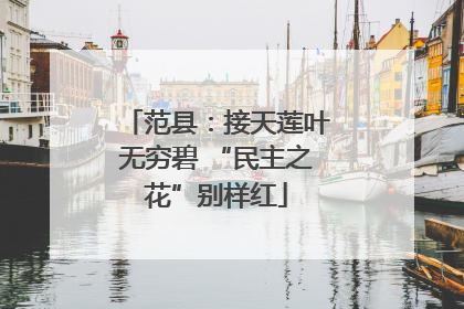范县：接天莲叶无穷碧 “民主之花”别样红