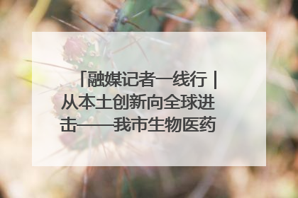 融媒记者一线行｜从本土创新向全球进击——我市生物医药产业破茧突围