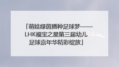 萌娃绿茵播种足球梦——LHK福宝之星第三届幼儿足球嘉年华精彩绽放