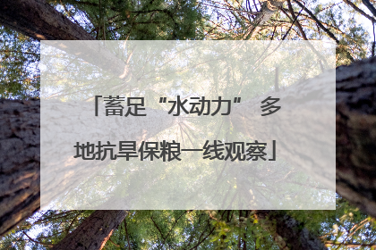 蓄足“水动力” 多地抗旱保粮一线观察