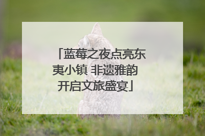蓝莓之夜点亮东夷小镇 非遗雅韵开启文旅盛宴
